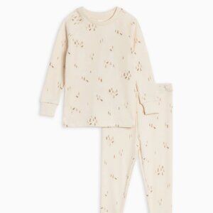 Colored Organics 2 Piece Long Sleeve Jammie Set